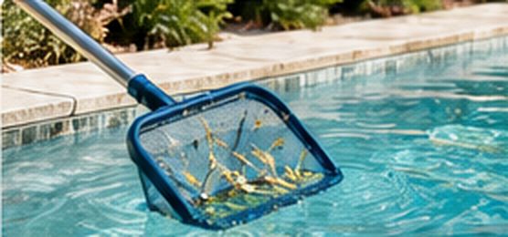 Épuisette retirant des feuilles à la surface d'une piscine
