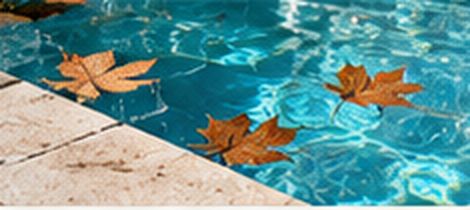 Feuilles d'automne flottant à la surface d'une piscine